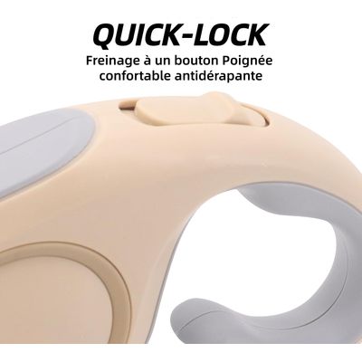 ZooVenture 5m 360° sans emmêlement nylon enrouleur laisse pour chien 30kg