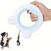 ZooVenture Laisse rétractable LED 3m pour chien