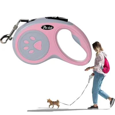 ZooVenture Laisse 5m rotative 360° pour chien