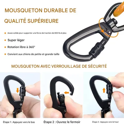 FurryFusion Laisse pour chien en fil métallique