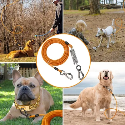 FurryFusion Laisse pour chien en fil métallique