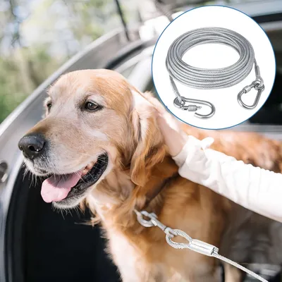 FurryFusion Laisse pour chien en acier inoxydable