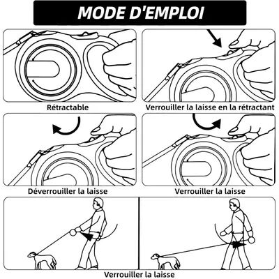 ZooVenture Laisse 5m rotative 360° pour chien