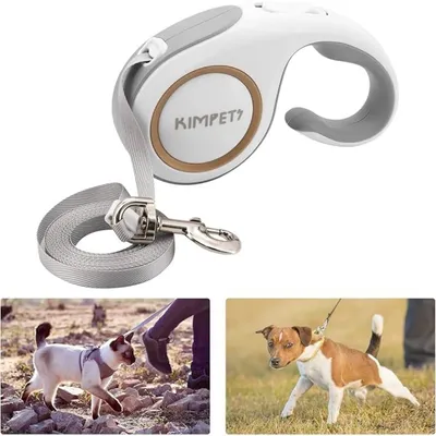 ZooVenture 5m 360° sans emmêlement nylon enrouleur laisse pour chien 30kg