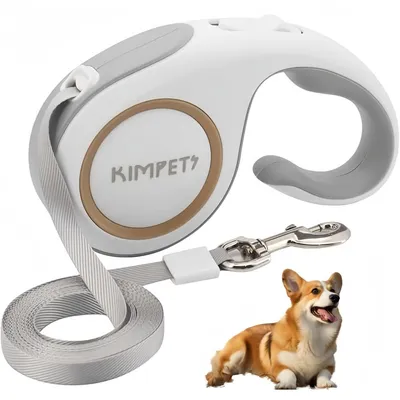 ZooVenture 5m 360° sans emmêlement nylon enrouleur laisse pour chien 30kg