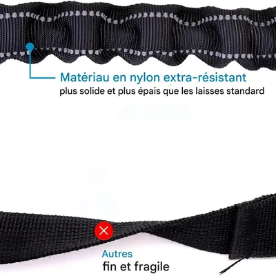 FurryFusion Laisse double pour deux chiens