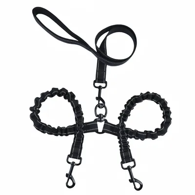 FurryFusion Laisse double pour deux chiens