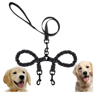 FurryFusion Laisse double pour deux chiens