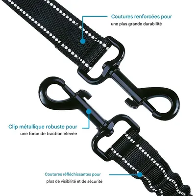 FurryFusion Laisse double pour deux chiens