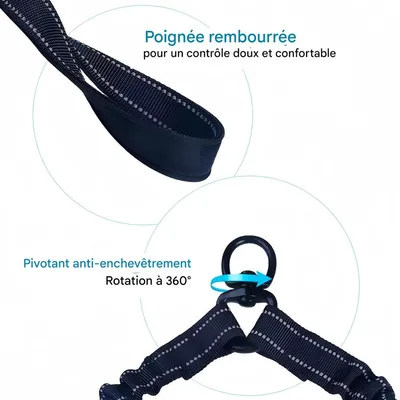 FurryFusion Laisse double pour deux chiens