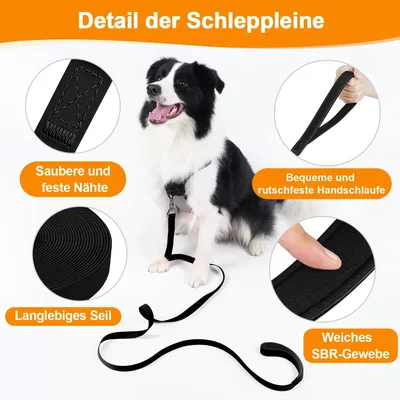 X XBEN Corde étanche pour chien