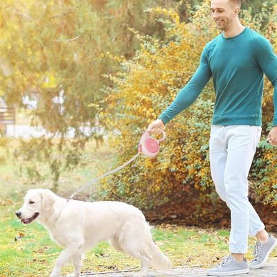 ZooVenture Antidérapante Laisse rétractable pour Chien