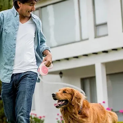 ZooVenture Antidérapante Laisse rétractable pour Chien