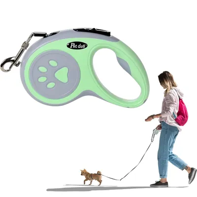 Pet Planet ZooVenture Laisse 5m rotative 360° pour chien