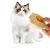 Petopia Brosse 2 en 1 pour chat et chien, nettoyage et massage