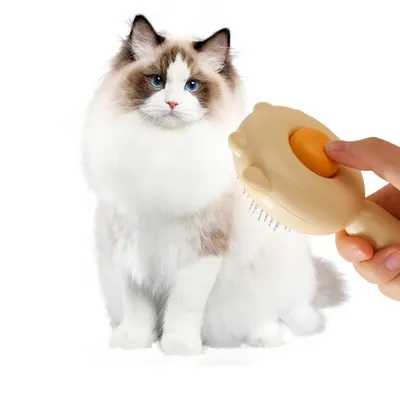 Petopia Brosse 2 en 1 pour chat et chien, nettoyage et massage