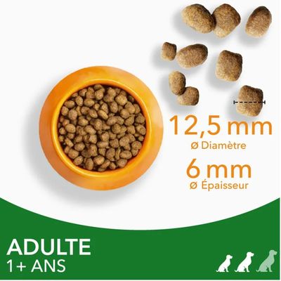 IAMS - Iams Adult Dog S/M Lamb