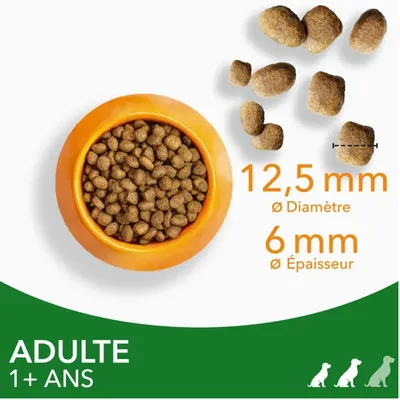 IAMS - chien Adult S/M AGNEAU - IAMS for Vitality IAMS - chien Adult S/M AGNEAU - IAMS for Vitality