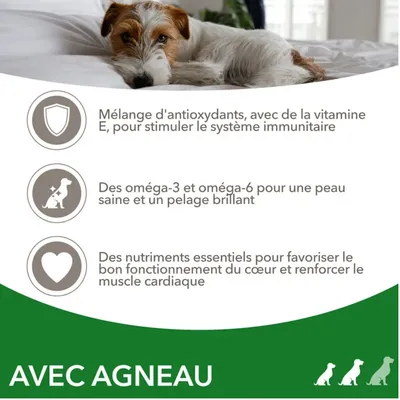 IAMS - Iams Chien Adulte S/M Agneau