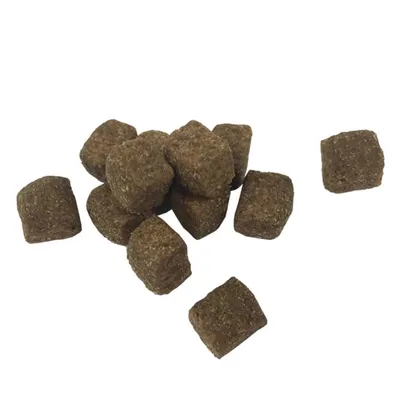 vidaXL Croquettes Adult Active pour chien