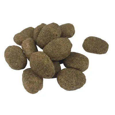 vidaXL Croquettes Adult Sensitive pour chien