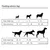 vidaXL Croquettes pour Chiens Adult Essence