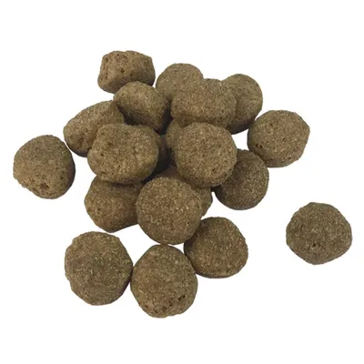 vidaXL Croquettes pour Chiens Adult Essence