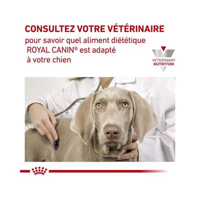 ROYAL CANIN -   chien VET DOG SKIN CARE