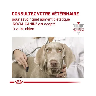 ROYAL CANIN -   chien VET DOG SKIN CARE