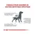 ROYAL CANIN -   chien VET DOG SKIN CARE