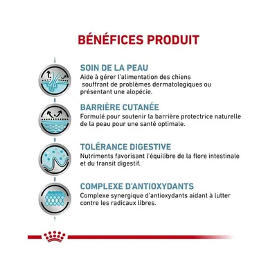 ROYAL CANIN -   chien VET DOG SKIN CARE