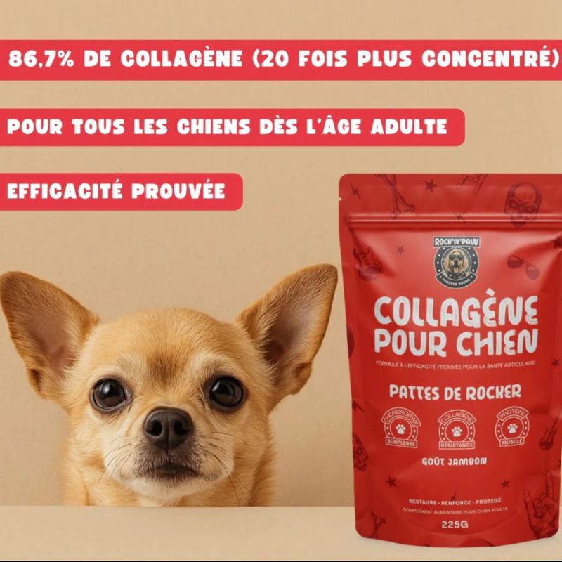 Rock and Paw Collagène pour chien
