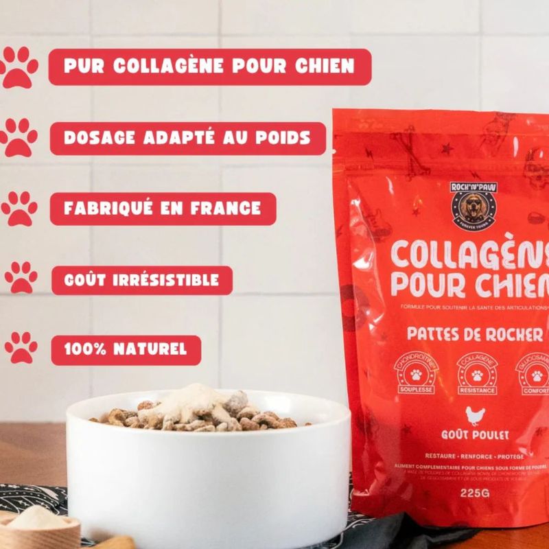 Rock and Paw Collagène pour chien