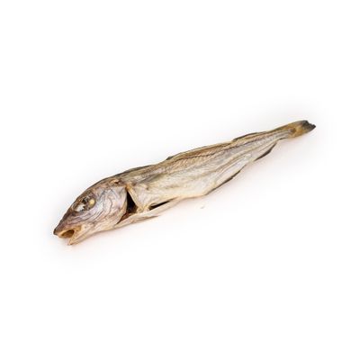 A PET STORE – Merlan – Mastication gourmande pour chiens – 3 pièces