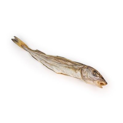 A PET STORE – Merlan – Mastication gourmande pour chiens – 3 pièces