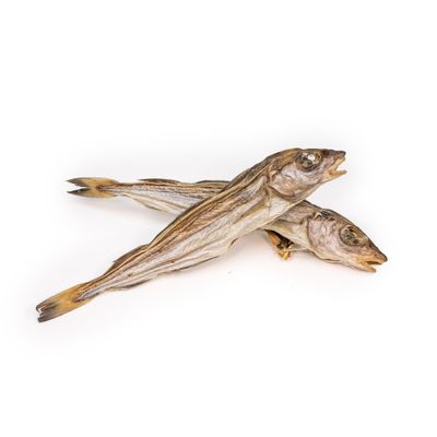 A PET STORE – Merlan – Mastication gourmande pour chiens – 3 pièces