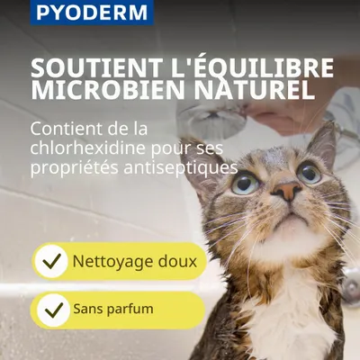 VIRBAC - PYODERM GLYCOTEC SHAMPOO FÜR HUNDE & KATZEN