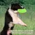 Pet Planet Chiens Frisbee Flottant Résistant Aux Morsures