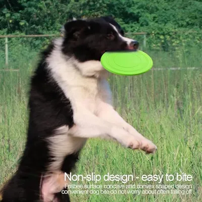 Pet Planet Chiens Frisbee Flottant Résistant Aux Morsures