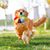 4 Pièces Frisbee Chien, Peluche Freesbee pour Chien, Frisbee Diamètre 15 cm