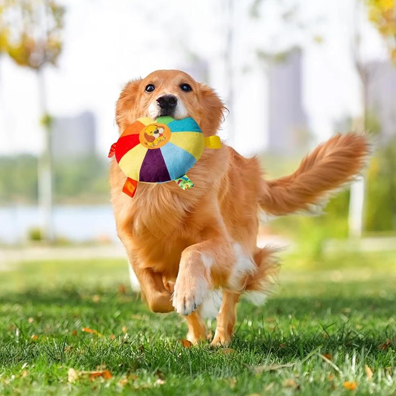 4 Pièces Frisbee Chien, Peluche Freesbee pour Chien, Frisbee Diamètre 15 cm