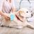 IntiMeg Brosse pour chiens et chats