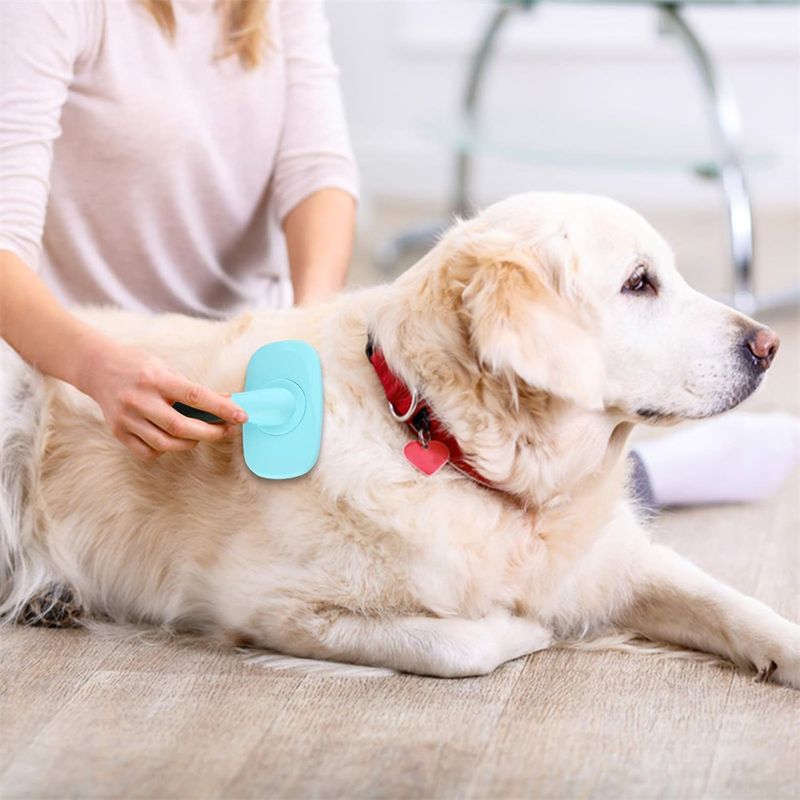 IntiMeg Brosse pour chiens et chats