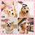 IntiMeg Kit de 8 brosses pour chien