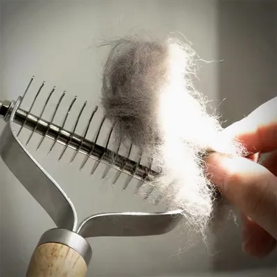 IntiMeg Râteau à sous - poil pour chien et chat