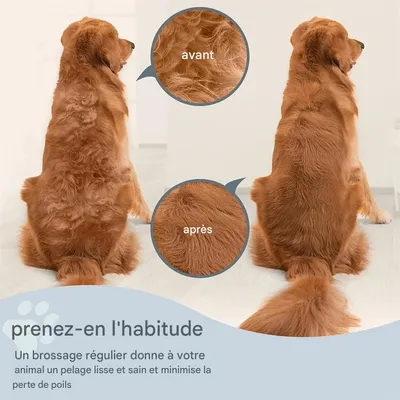 IntiMeg Râteau à sous - poil pour chien et chat