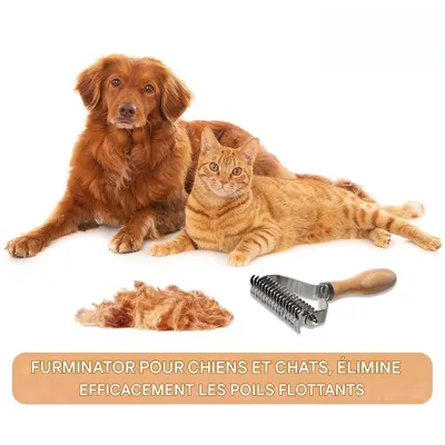 IntiMeg Râteau à sous - poil pour chien et chat