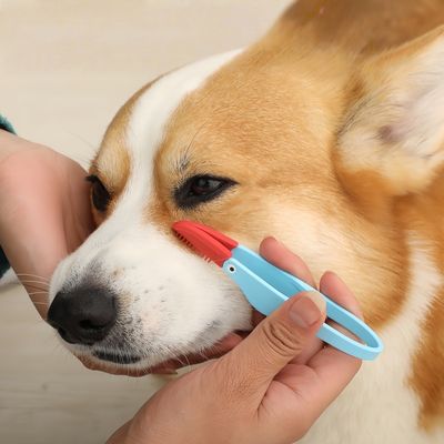 Petopia Brosse de nettoyage des yeux pour chien et chat