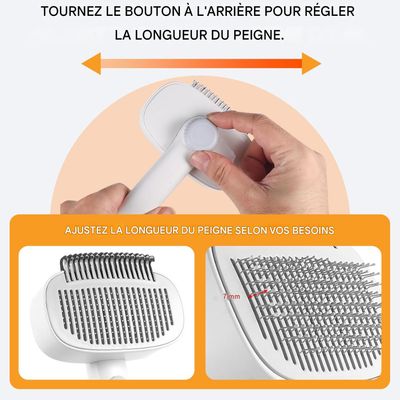 ZooVenture Autonettoyante deux en un brosse pour chat et chien