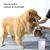ZooVenture Tasse lavage pattes silicone pour chien